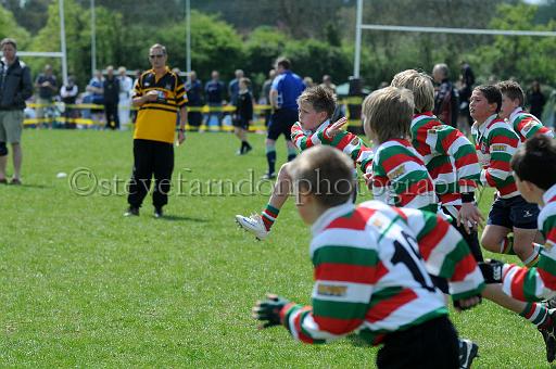 cody235.JPG - (C)S.FARNDON