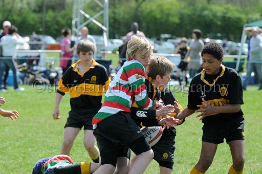 cody240.JPG - (C)S.FARNDON