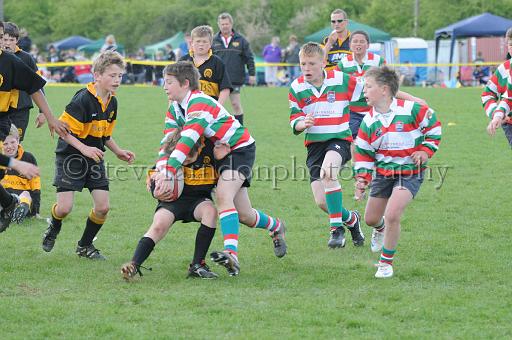 cody259.JPG - (C)S.FARNDON