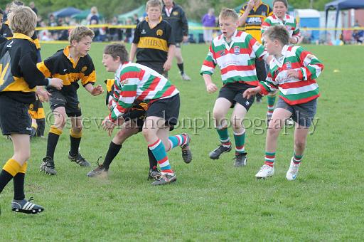 cody260.JPG - (C)S.FARNDON