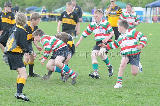 cody261.JPG - (C)S.FARNDON