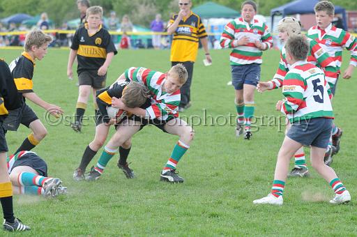 cody262.JPG - (C)S.FARNDON