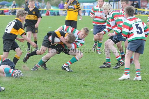 cody263.JPG - (C)S.FARNDON
