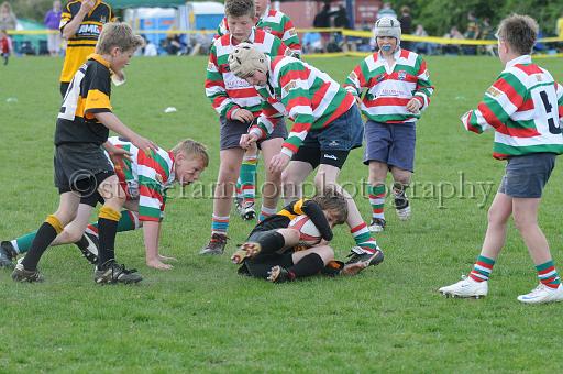 cody264.JPG - (C)S.FARNDON