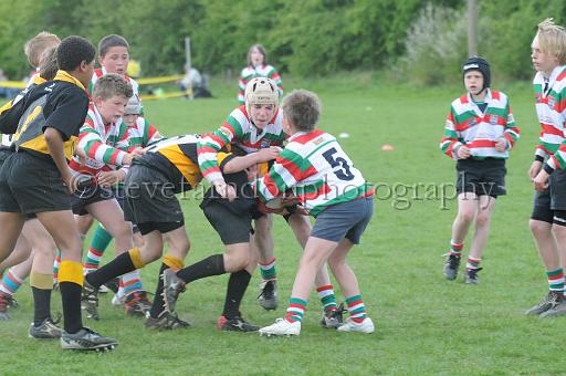 cody265.JPG - (C)S.FARNDON