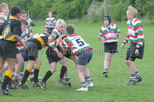 cody266.JPG - (C)S.FARNDON
