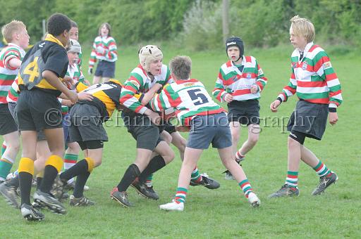 cody267.JPG - (C)S.FARNDON