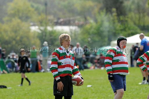cody276.JPG - (C)S.FARNDON