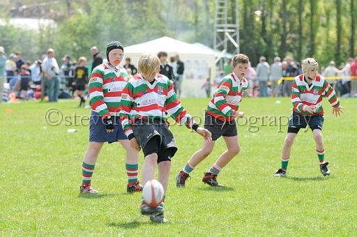 cody277.JPG - (C)S.FARNDON
