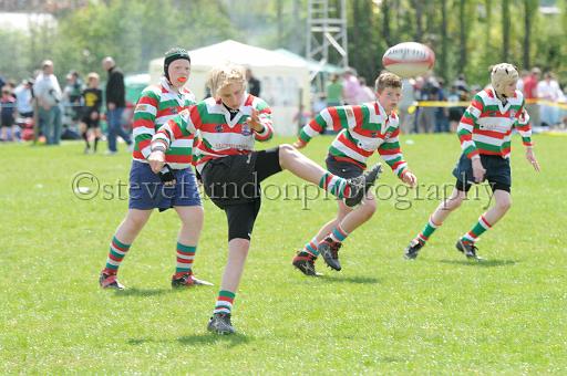 cody278.JPG - (C)S.FARNDON
