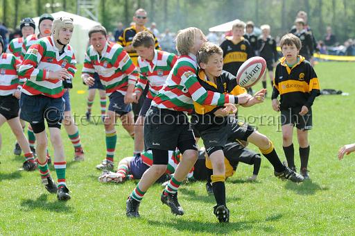 cody294.JPG - (C)S.FARNDON