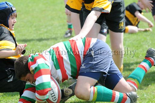 cody300.JPG - (C)S.FARNDON