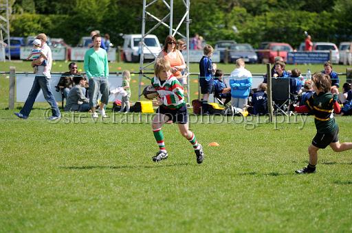 cody310.JPG - (C)S.FARNDON