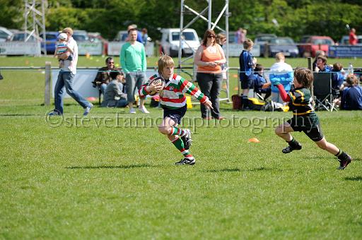 cody311.JPG - (C)S.FARNDON