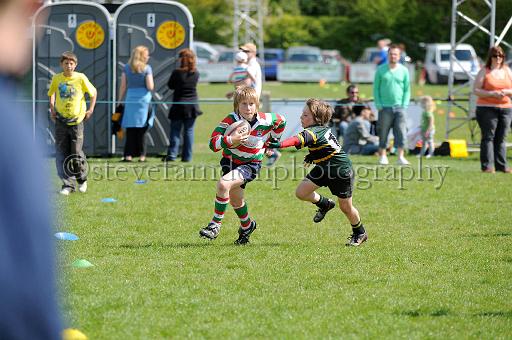 cody312.JPG - (C)S.FARNDON