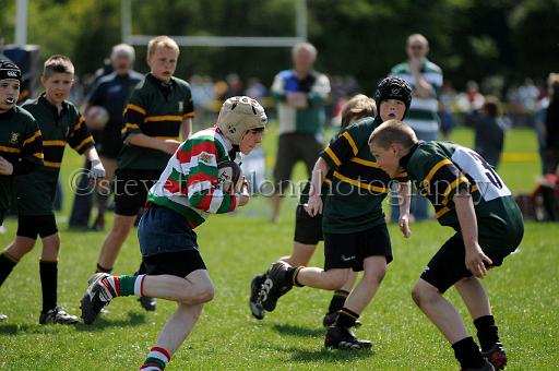 cody320.JPG - (C)S.FARNDON