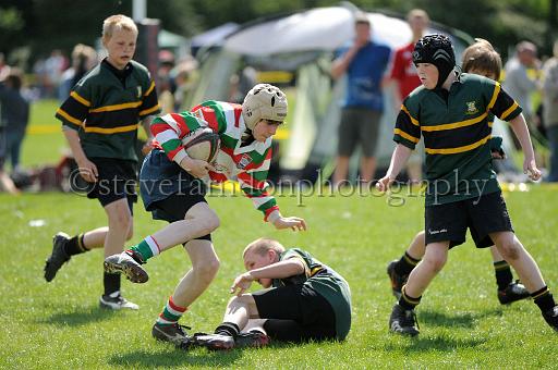 cody322.JPG - (C)S.FARNDON