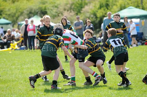 cody324.JPG - (C)S.FARNDON