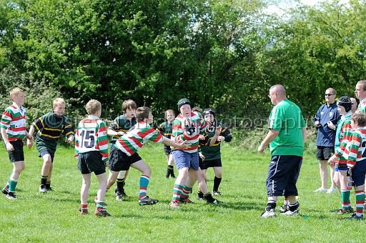 cody336.JPG - (C)S.FARNDON