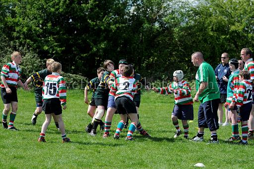cody337.JPG - (C)S.FARNDON