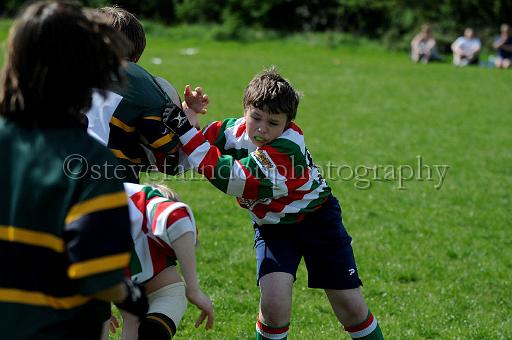 cody344.JPG - (C)S.FARNDON