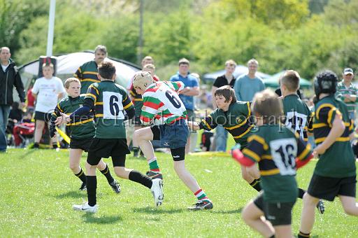 cody353.JPG - (C)S.FARNDON