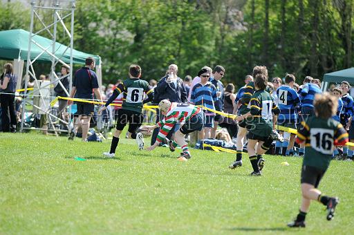 cody364.JPG - (C)S.FARNDON