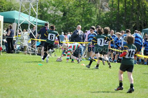 cody365.JPG - (C)S.FARNDON