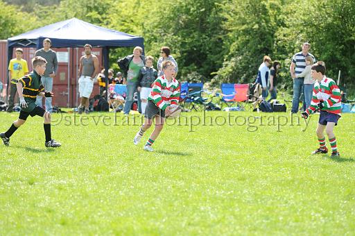 cody373.JPG - (C)S.FARNDON