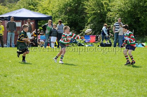 cody374.JPG - (C)S.FARNDON