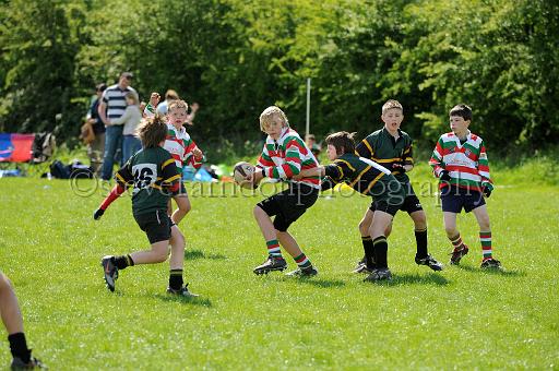 cody375.JPG - (C)S.FARNDON