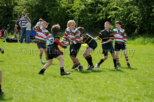 cody376.JPG - (C)S.FARNDON