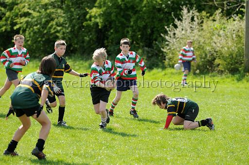 cody378.JPG - (C)S.FARNDON