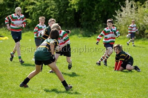 cody379.JPG - (C)S.FARNDON