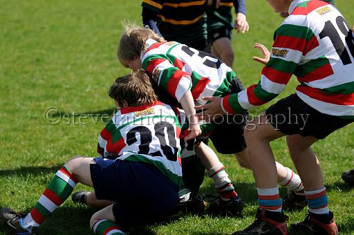 cody386.JPG - (C)S.FARNDON