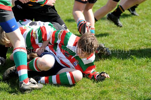 cody388.JPG - (C)S.FARNDON