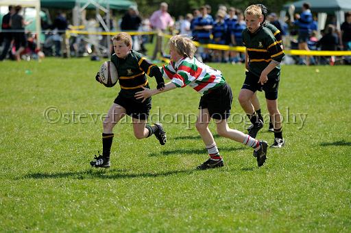 cody391.JPG - (C)S.FARNDON