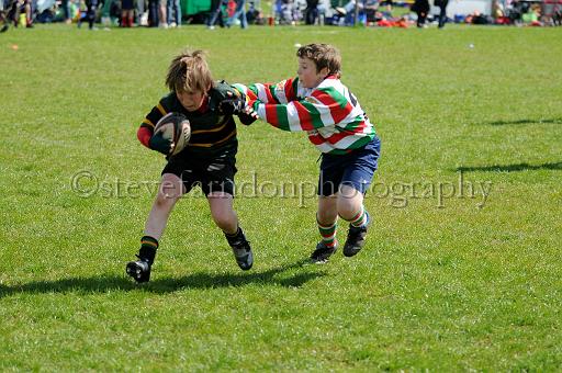 cody395.JPG - (C)S.FARNDON