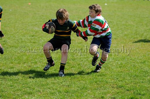 cody396.JPG - (C)S.FARNDON