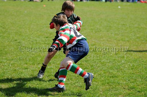 cody399.JPG - (C)S.FARNDON