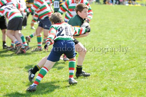 cody406.JPG - (C)S.FARNDON