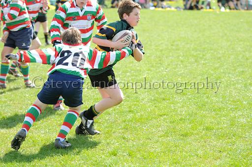 cody407.JPG - (C)S.FARNDON