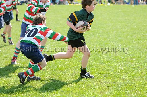 cody408.JPG - (C)S.FARNDON