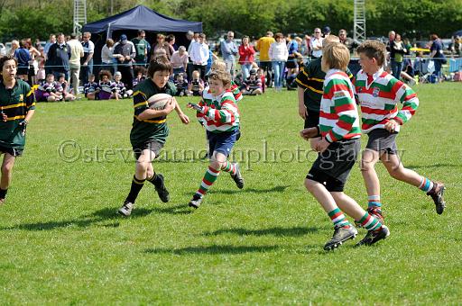cody411.JPG - (C)S.FARNDON