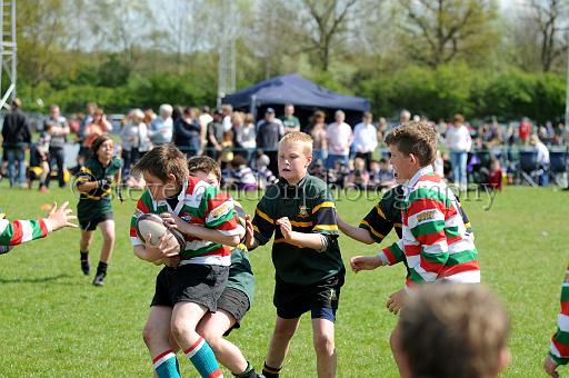 cody415.JPG - (C)S.FARNDON