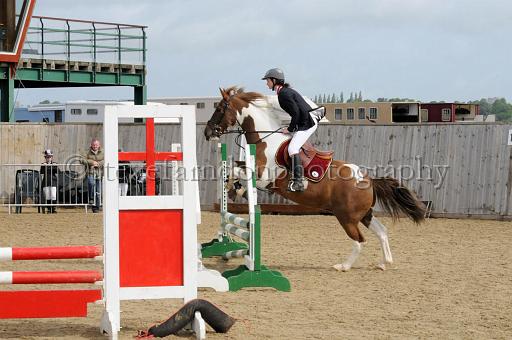 NRS_0224.JPG - (C)S.FARNDON