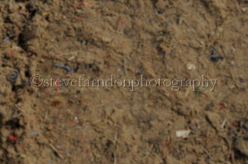 NRS_0259.JPG - (C)S.FARNDON