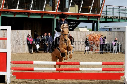 NRS_0294.JPG - (C)S.FARNDON