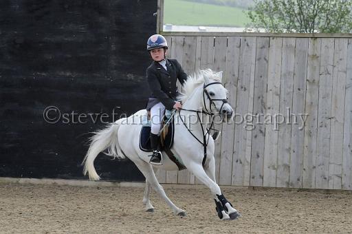 NRS_0387.JPG - (C)S.FARNDON