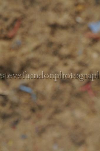 NRS_0399.JPG - (C)S.FARNDON